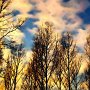 Restlicht1